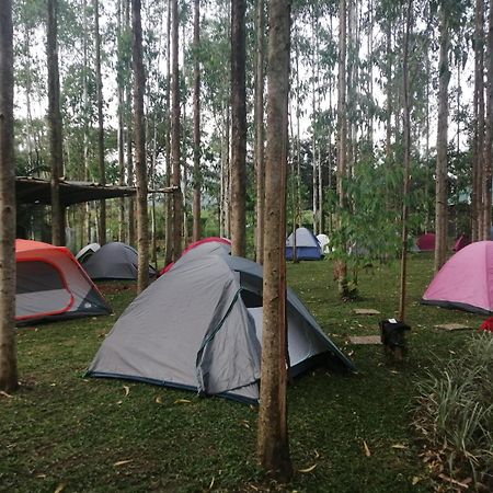 Murchison Backpackers Masindi Kültér fotó