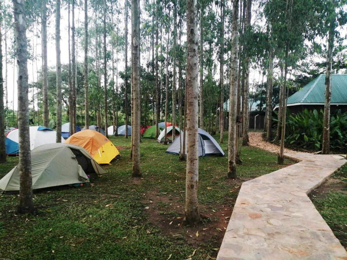 Murchison Backpackers Masindi Kültér fotó
