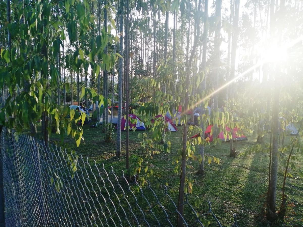Murchison Backpackers Masindi Kültér fotó