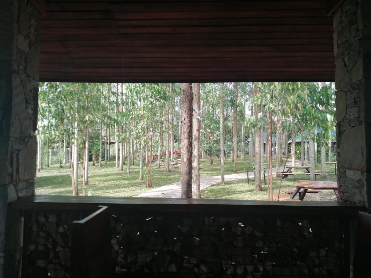Murchison Backpackers Masindi Kültér fotó