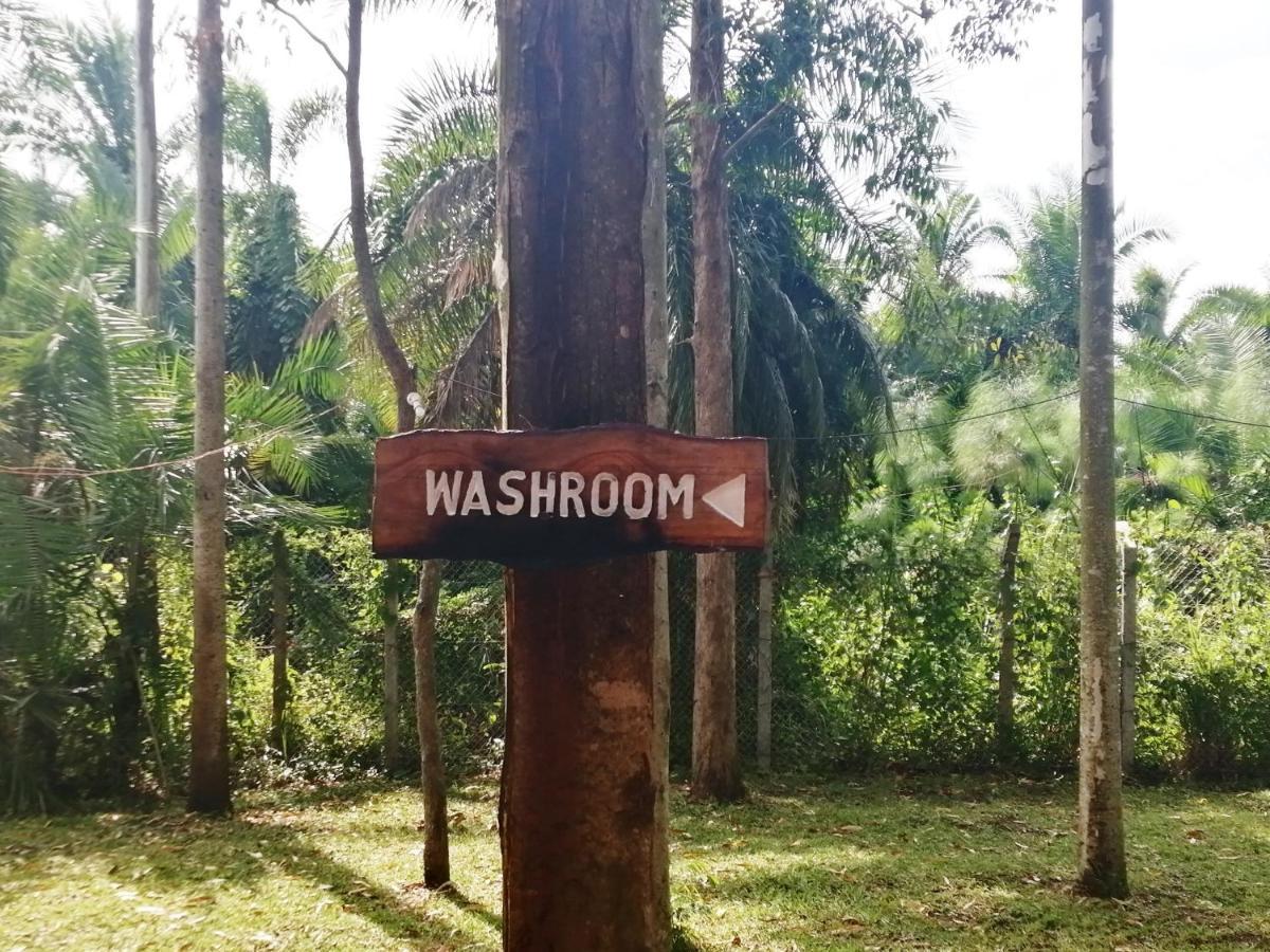 Murchison Backpackers Masindi Kültér fotó