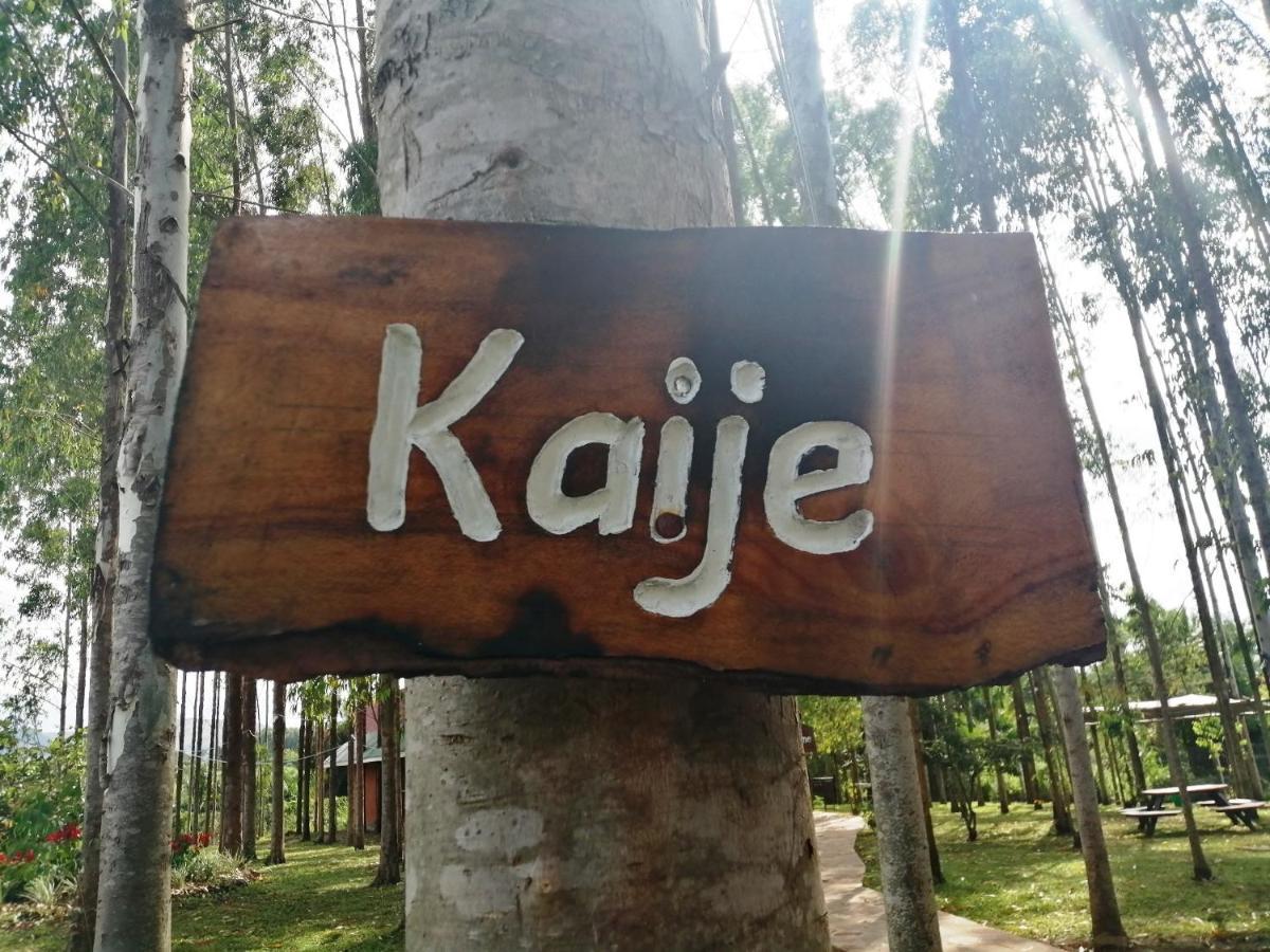 Murchison Backpackers Masindi Kültér fotó