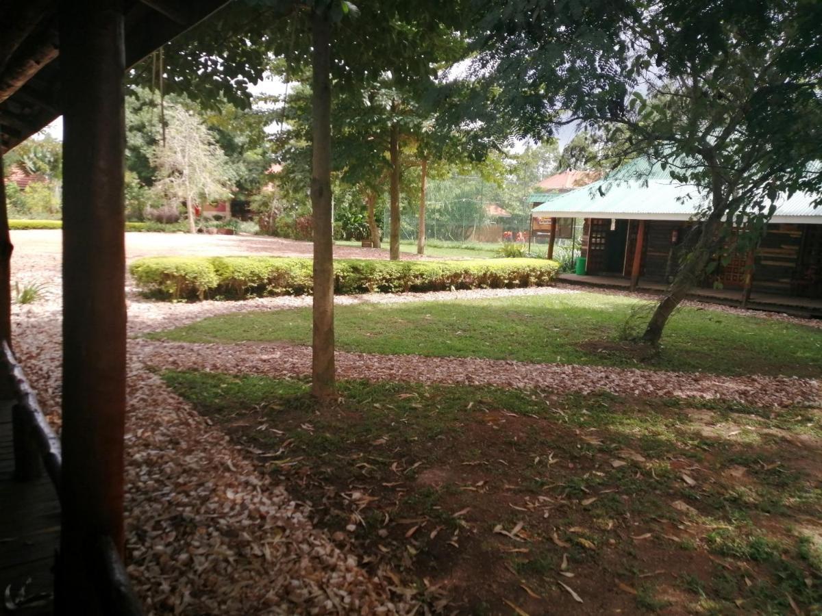 Murchison Backpackers Masindi Kültér fotó