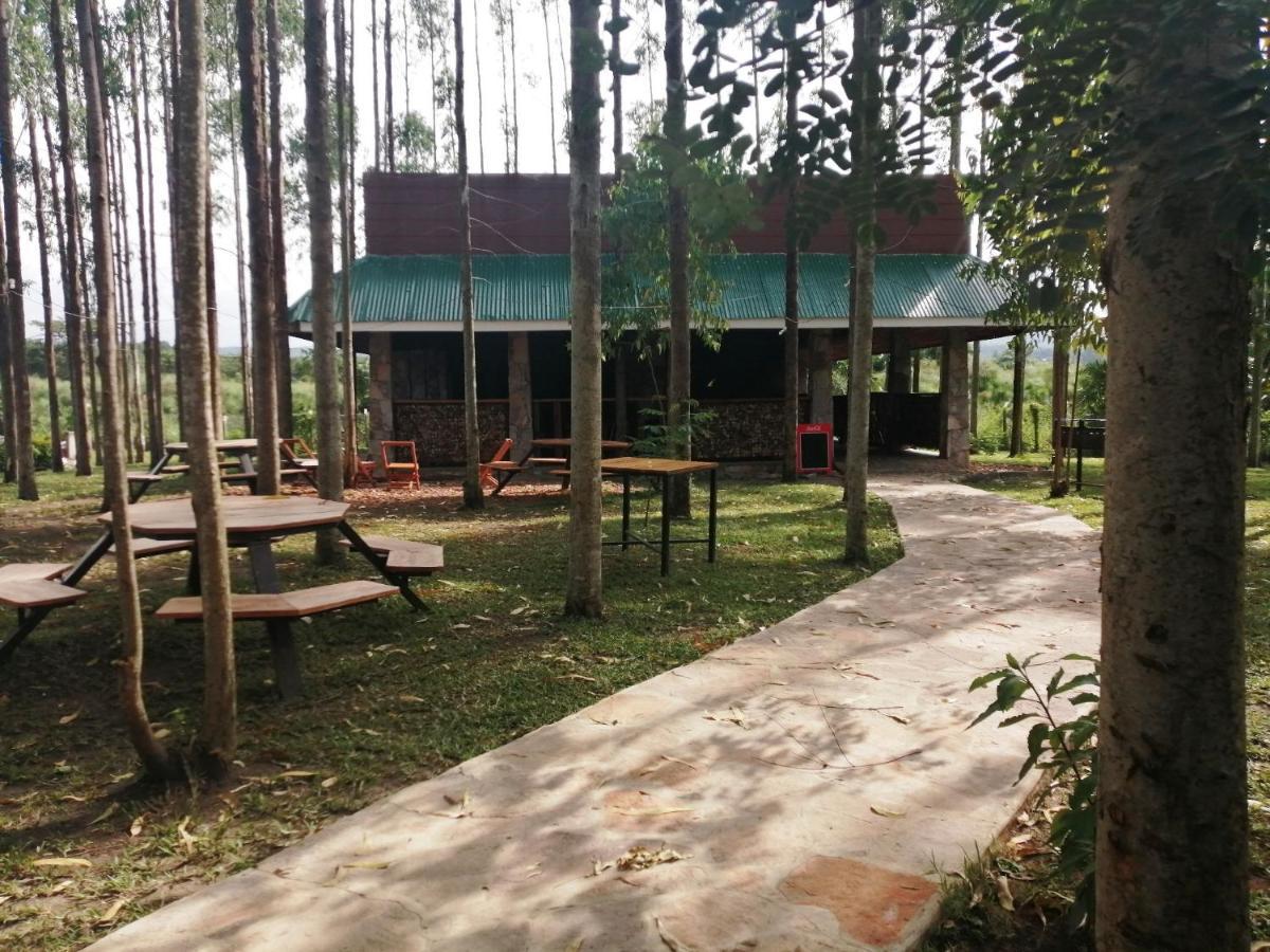 Murchison Backpackers Masindi Kültér fotó
