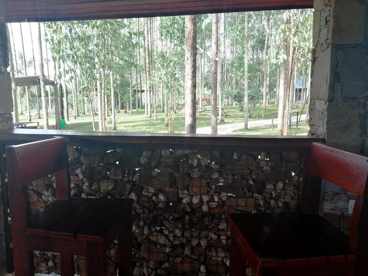 Murchison Backpackers Masindi Kültér fotó