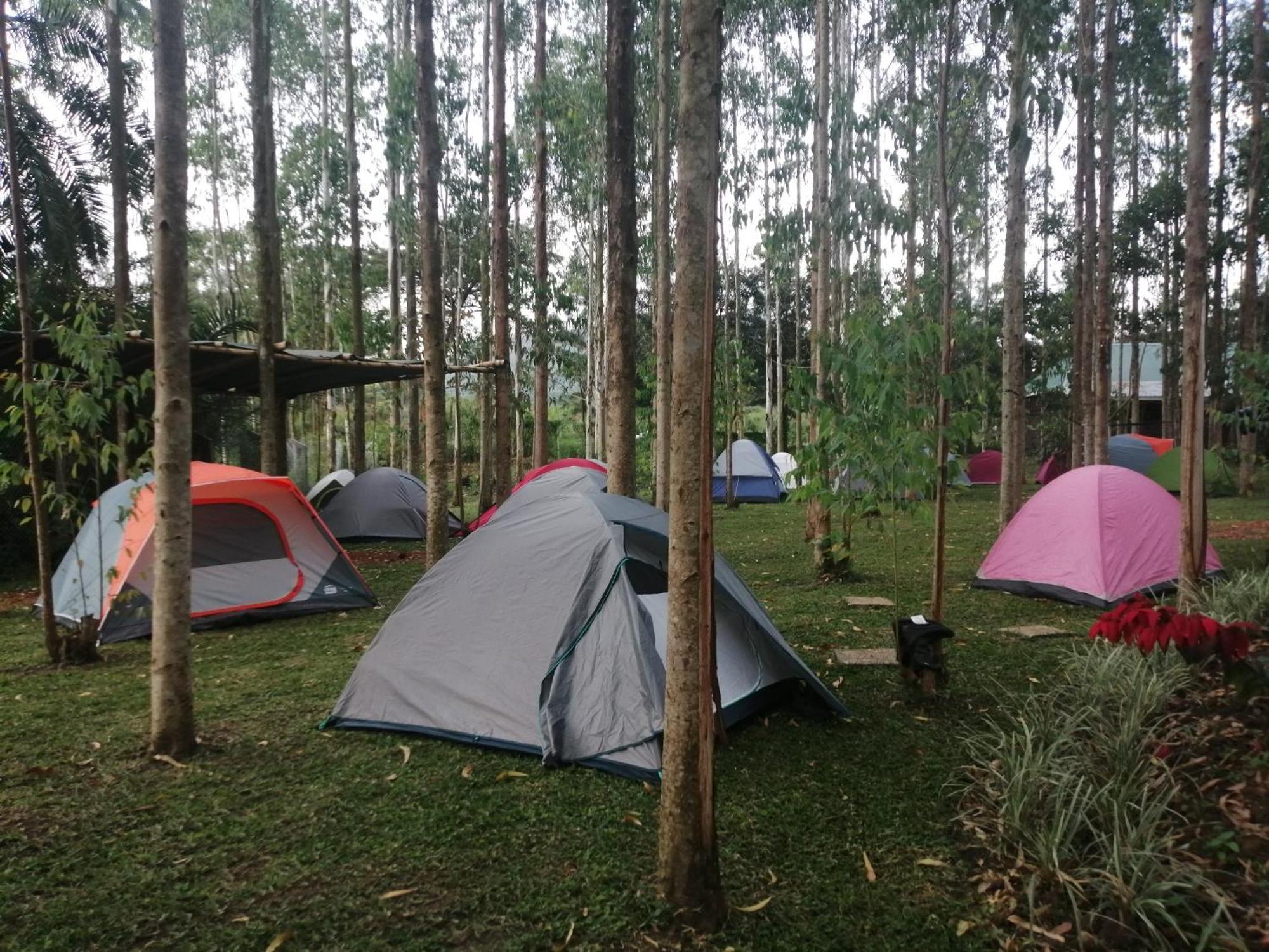 Murchison Backpackers Masindi Kültér fotó