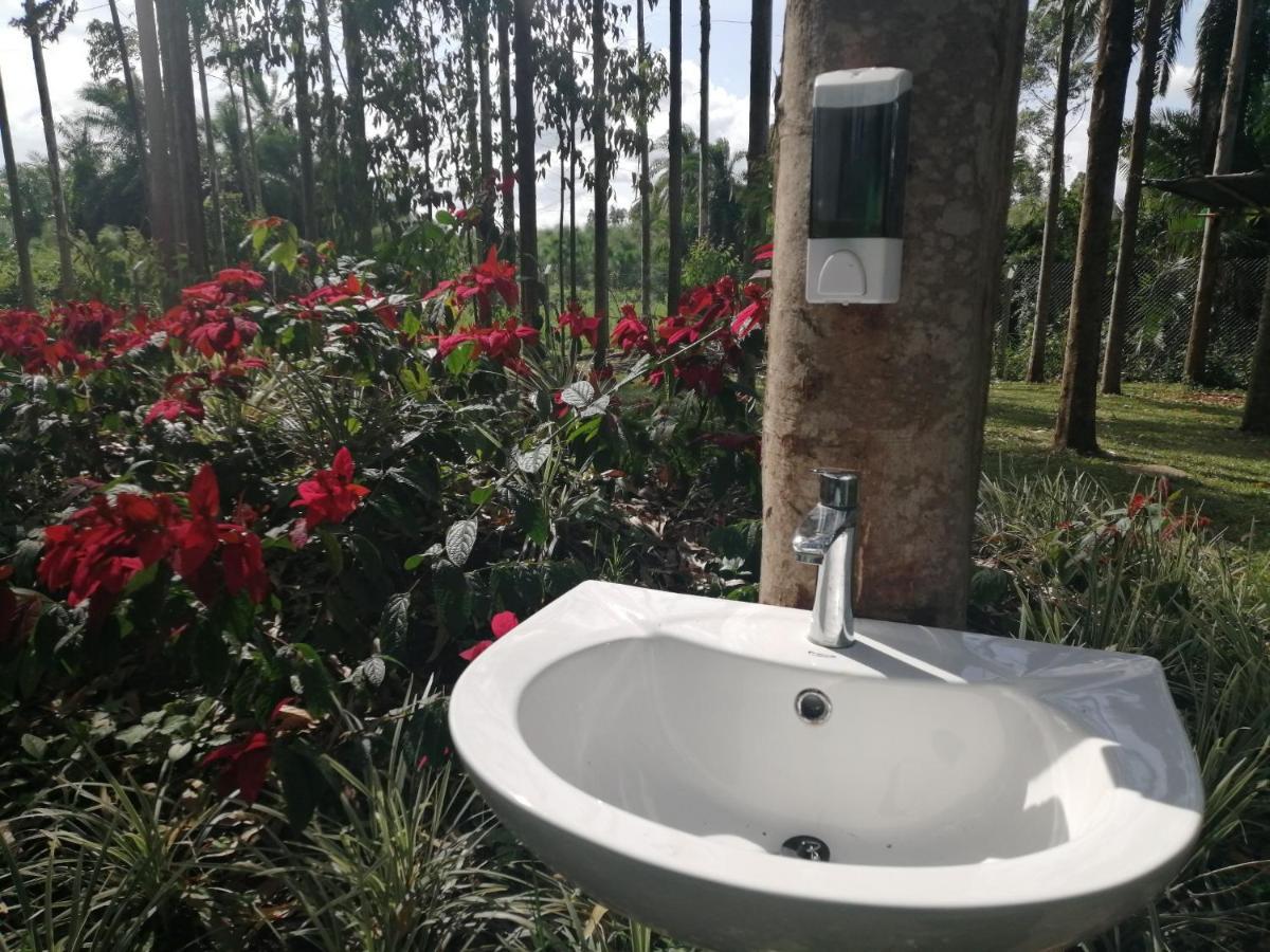 Murchison Backpackers Masindi Kültér fotó
